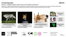 Art Photography Trend Report Research Insight 3