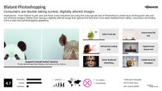 Print Trend Report Research Insight 4