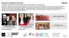 Celebrity Product Trend Report Research Insight 2