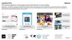 Cat Trend Report Research Insight 5