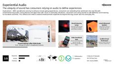 Audio System Trend Report Research Insight 6