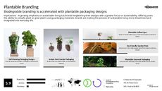 Naturalistic Branding Trend Report Research Insight 5