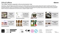 Ethical Branding Trend Report Research Insight 7