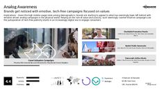 Digital Campaign Trend Report Research Insight 8