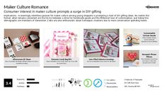 DIY Activity Trend Report Research Insight 6