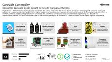 Lifestyle Branding Trend Report Research Insight 8